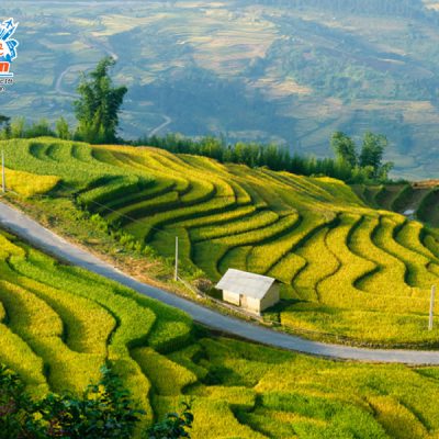 ruong-bac-than-thong-nguyen-1