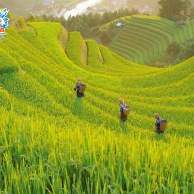 ruong-bac-thang-ban-nhung