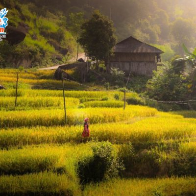 ruong-bac-thang-ban-phung-2