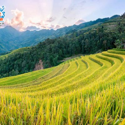 ruong-bac-thang-ban-phung-3