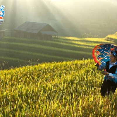 ruong-bac-thang-ban-phung