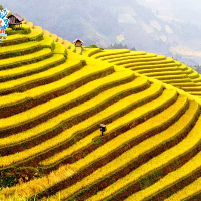 ruong-bac-thang-xin-man-2