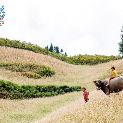 simacai-mua-tam-giac-mach