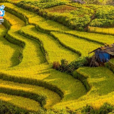 thung-lung-the-pa-y-ty