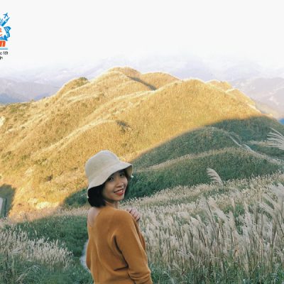 binh-lieu-mua-co-lau-trang