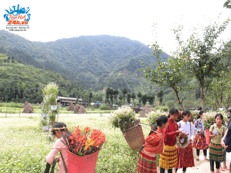 Làng văn hóa Lũng Cẩm – nơi Hà Giang bình yên đến thế. | Tourhot24h.vn