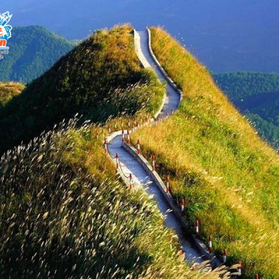 song-lung-khung-long-binh-lieu-1