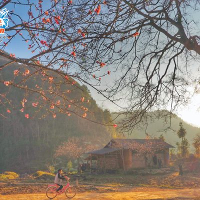 thung-lung-sung-la