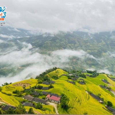 ban-phung-hoang-su-phi