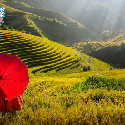 doi-mam-xoi-nam-khoa