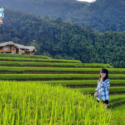 hoang-su-phi-lua-vang