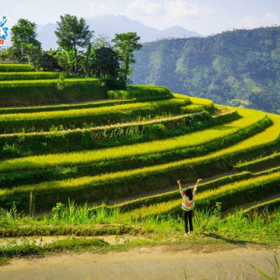 hoang-su-phi-mua-lua