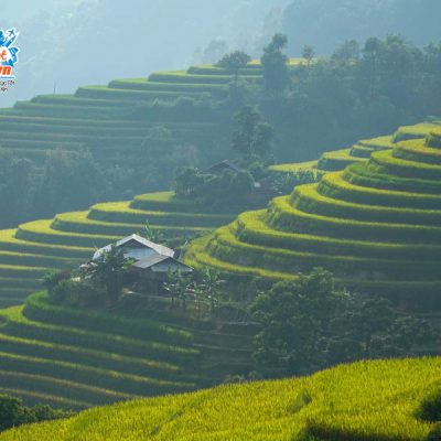 hoang-su-phi-mua-vang