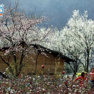 mai-chau-mua-hoa-man