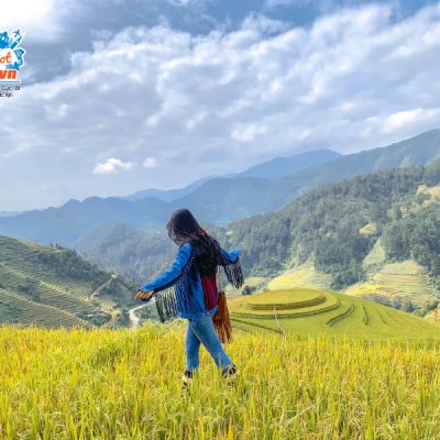 mu-cang-chai-mua-lua-chin-Phạm-Lan-Hương