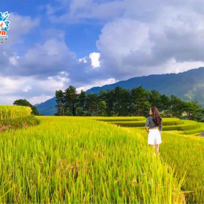 mu-cang-chai-mua-vang-Phương-Bee