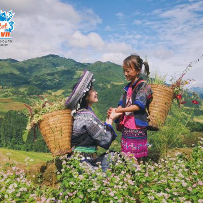 mu-cang-chai-yen-bai