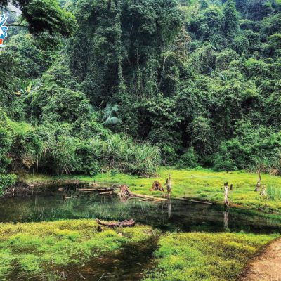 rung-quoc-gia-cuc-phương