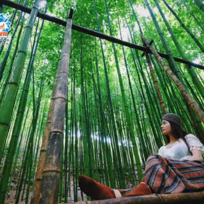 rung-truc-na-hang-tua-chu-2