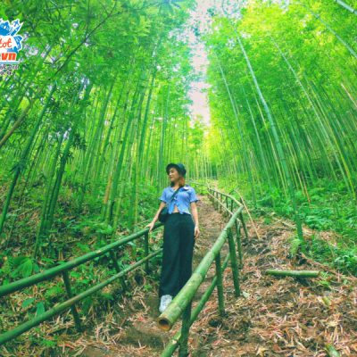 rung-truc-na-hang-tua-chu