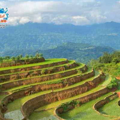 ruong-bac-thang-thong-nguyen