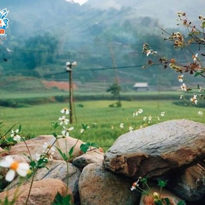 suoi-khoang-tram-tau-mua-xuan