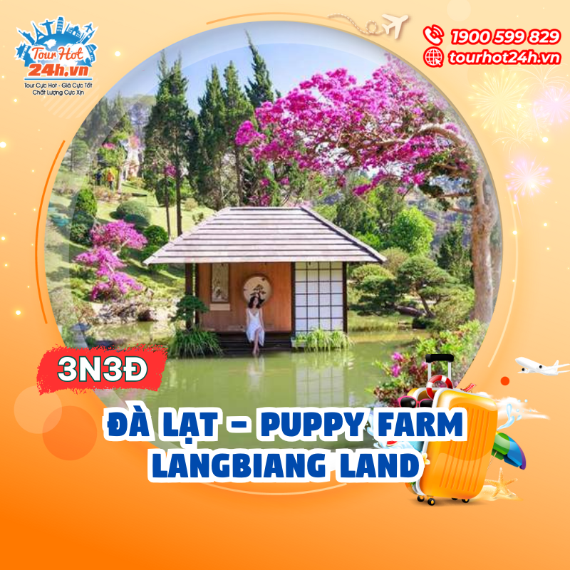 NỘI-ĐỊA-1-1 NỘI-ĐỊA-1-1