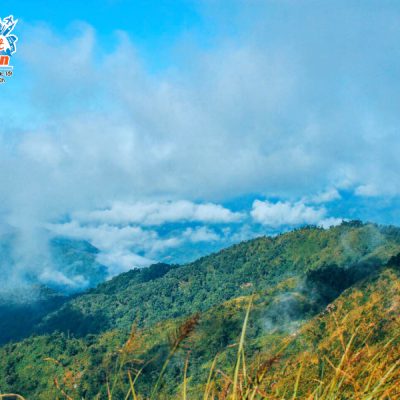 a-pa-chai-cuc-tay-to-quoc-9