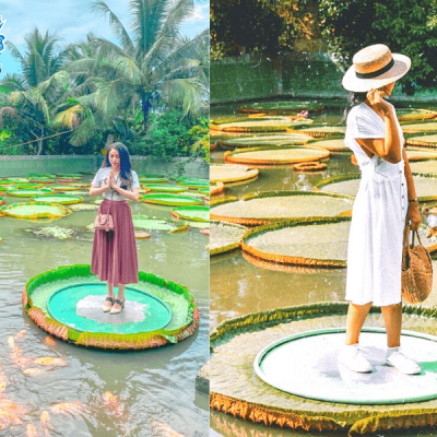 chua-la-sen-dong-thap