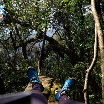 cung-duong-len-dinh-lung-cung-3