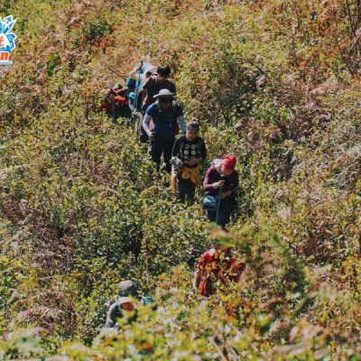 cung-duong-len-dinh-lung-cung