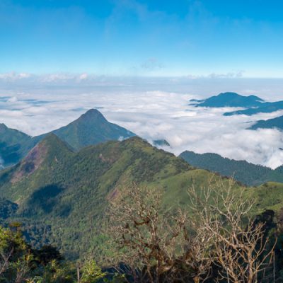 dinh-nam-kang-ho-tao-Nguyễn-Bá-Bắc-2