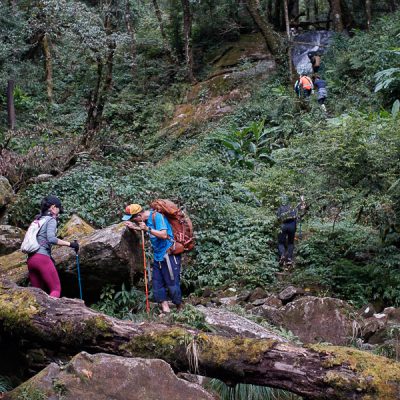 dinh-nam-kang-ho-tao-Nguyễn-Bá-Bắc-3