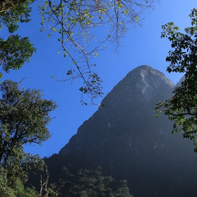 dinh-nam-kang-ho-tao-Nguyễn-Bá-Bắc