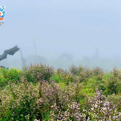 duong-di-ta-chi-nhu-2