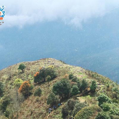 duong-len-dinh-nhiu-co-san