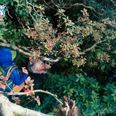 duong-len-nhiu-co-san-2