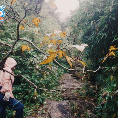 duong-len-nhiu-co-san-3