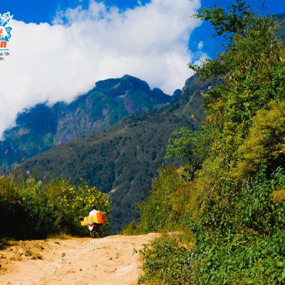 duong-len-nhiu-co-san