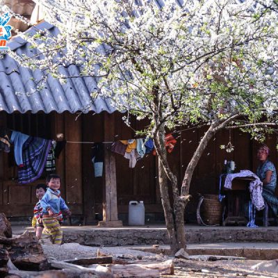 lang-van-hoa-lung-cam