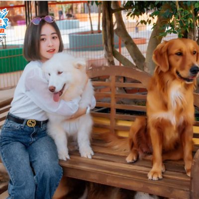 nong-trai-cun-puppy-farm