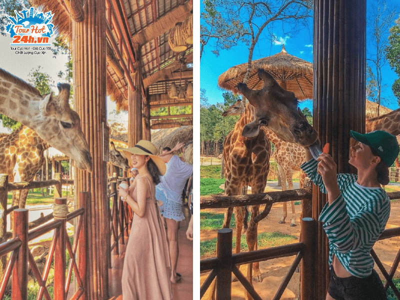 safari-phu-quoc- safari-phu-quoc-