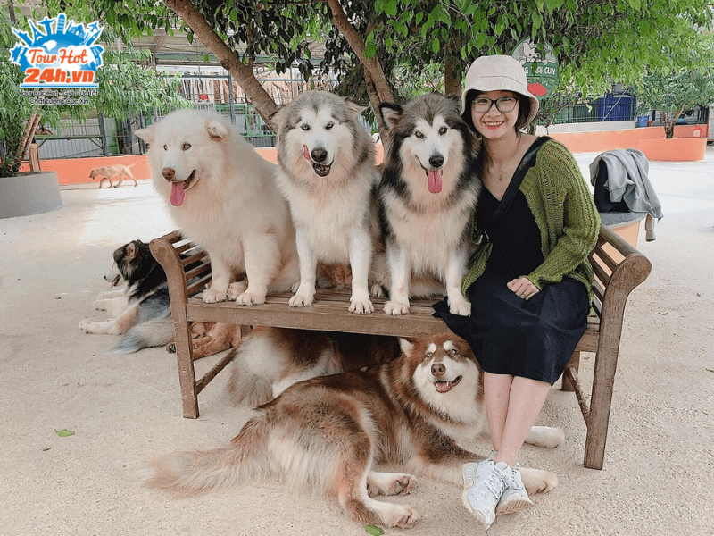 trai-cun-puppy-farm-da-lat trai-cun-puppy-farm-da-lat