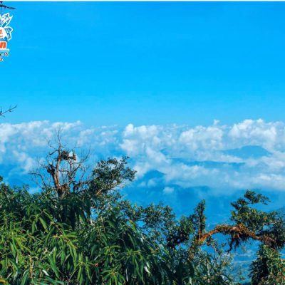 tu-a-pa-chai-nhin-xuong