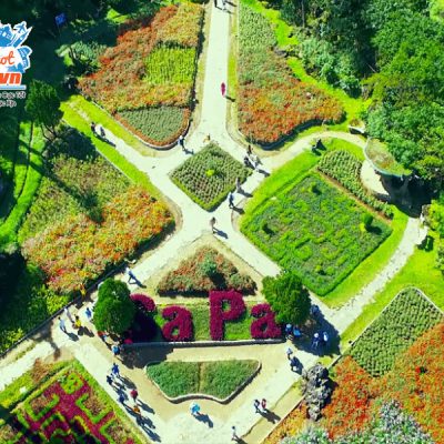 vuon-hoa-ham-rong-sapa