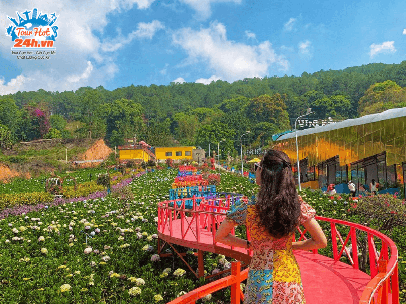 vuon-thuong-uyen-bay-da-lat vuon-thuong-uyen-bay-da-lat