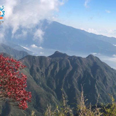 bach-moc-luong-tu-ky-quan-san-2