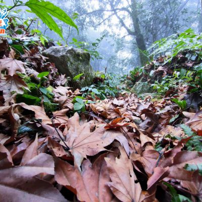 duong-di-len-khang-su-van-2