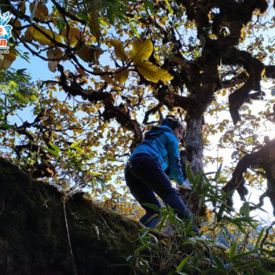 duong-di-len-khang-su-van