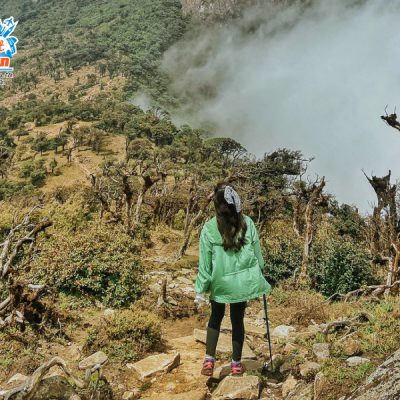 duong-len-bach-moc-luong-tu-ky-quan-san-2